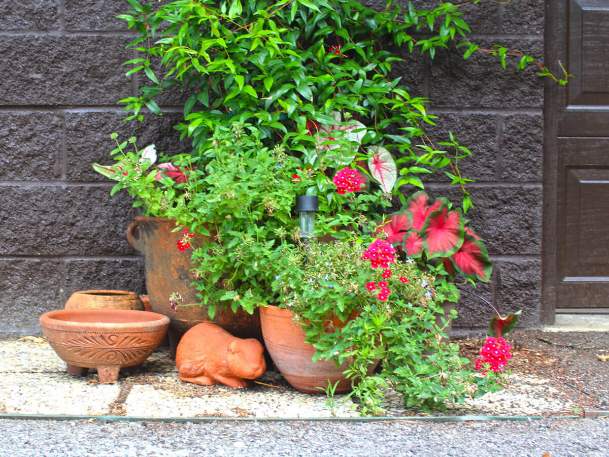 Cottages of Mentone | Cottages and Cabins Rentals in Mentone, Alabama | Best Vacation Rental | Cabins and Cottages with A Mountain View | Wedding Guest Rental, Desoto State Park, Desoto Falls, Lookout Mountain